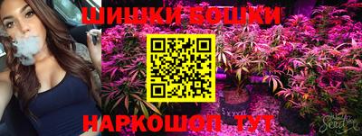 стафф Моздок