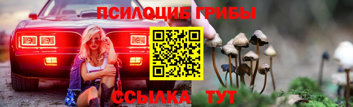 Галлюциногенные грибы GOLDEN TEACHER  Галлюциногенные грибы Psilocybine cubensis  Вход с VPN  Златоуст 
